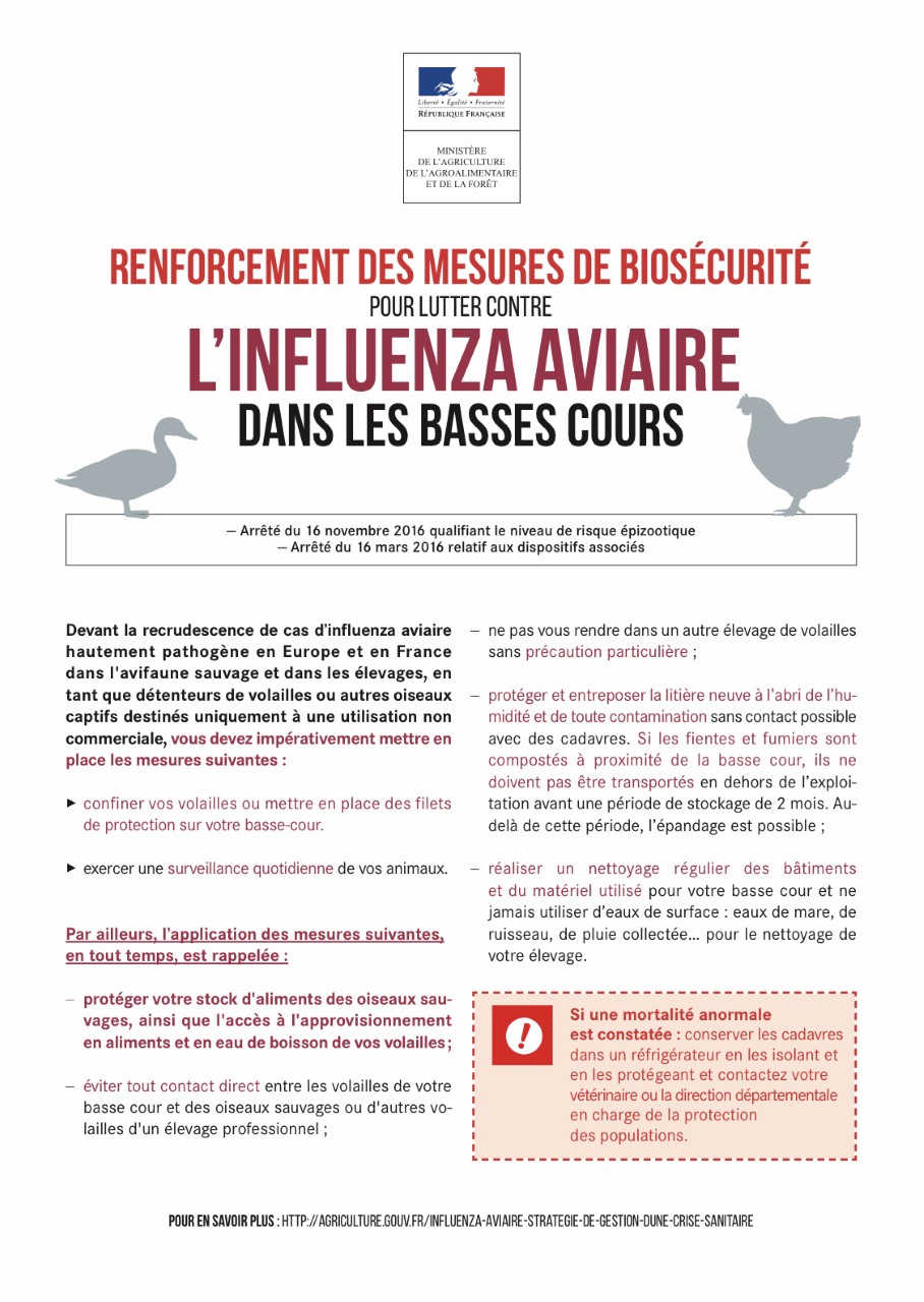 You are currently viewing L’INFLUENZA AVIAIRE