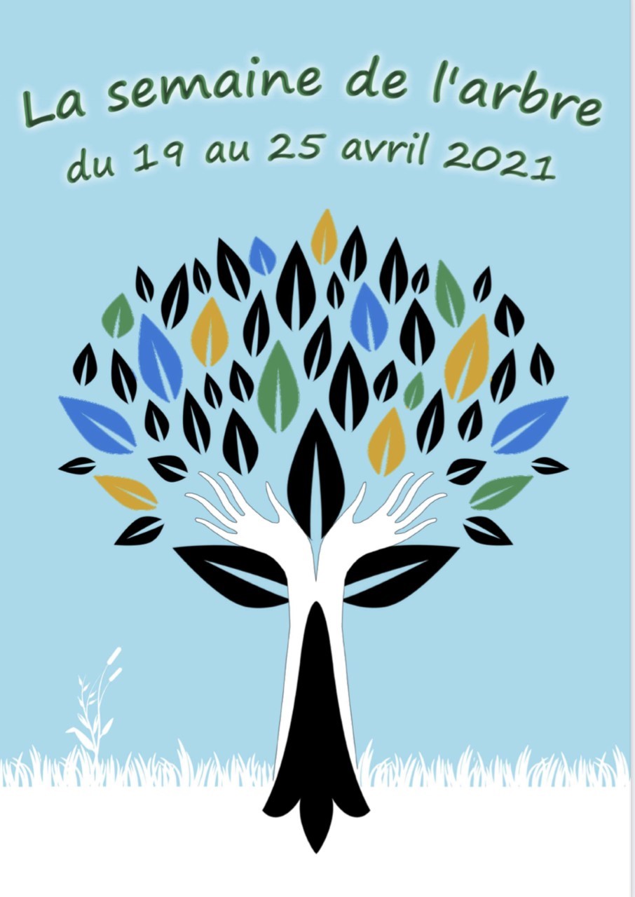 You are currently viewing Programme semaine de l’arbre