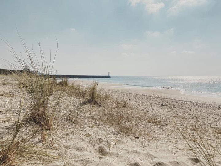 Lire la suite à propos de l’article Découverture de la dune et de la plage de Trescadec