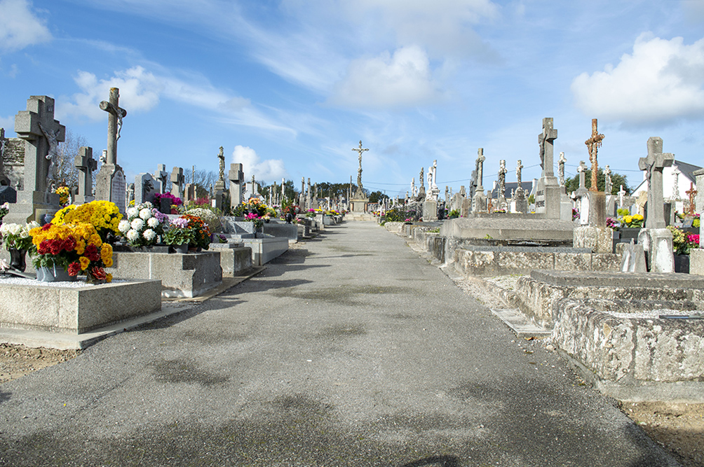 You are currently viewing Entretien du cimetière Saint Raymond​